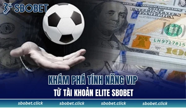 tính năng VIP từ tài khoản Elite